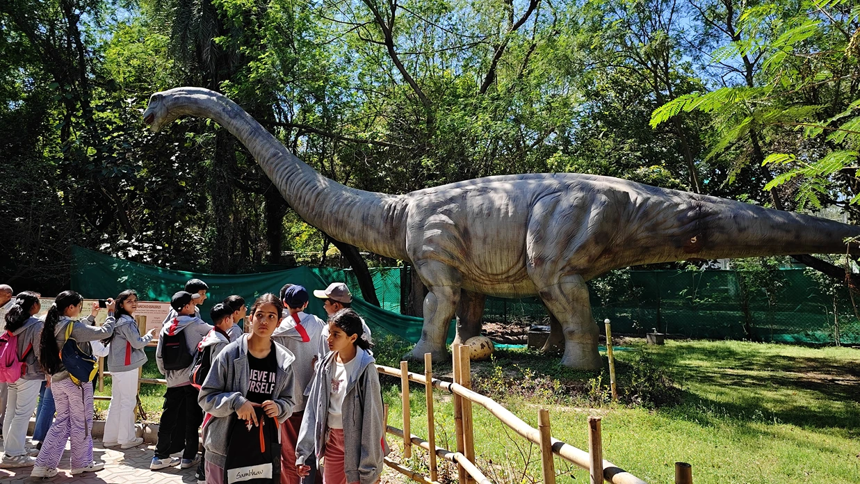 Chandigarh - Chhatbir Zoo - Pinjore